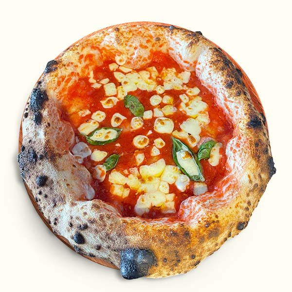 Queen Margherita DOC Dante's